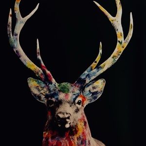 Meet your Posher, Nathan